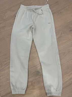 Aritzia TNA Sweatfleece Boyfriend Fit Size S Joggers